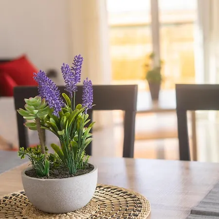 H&h Plaza De Toros Ii גרנדה